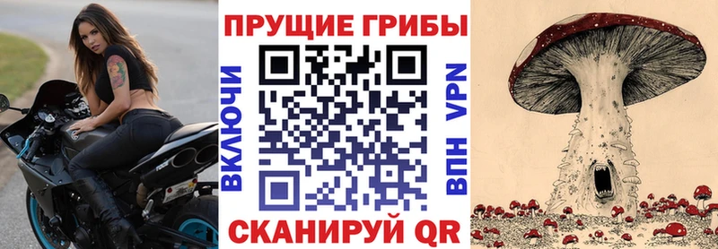 Купить закладки  Макарьев  Галлюциногенные грибы прущие грибы 