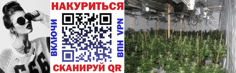 Купить закладки  Макарьев  Шишки марихуана LSD WEED 